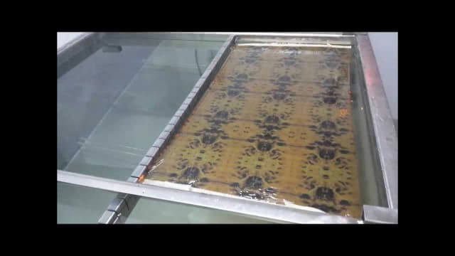 Jak zrobić hydrografikę w domu? Proste kroki i cenne wskazówki